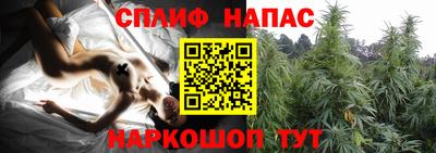 a pvp Бузулук
